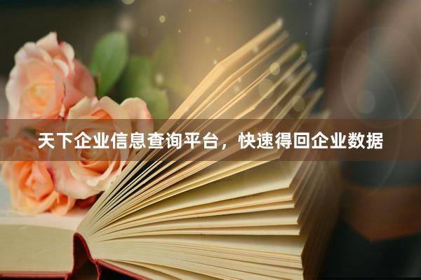 天下企业信息查询平台,快速得回企业数据
